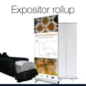 Expositor Rollup